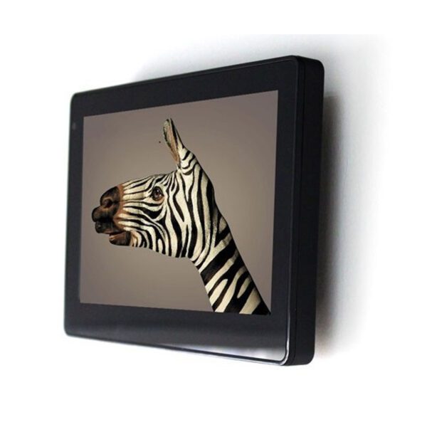 A zebra screen with a white background